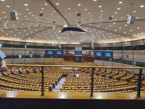 Simulace zastupitelstva a výlet do Evropského parlamentu   březen, duben 2024