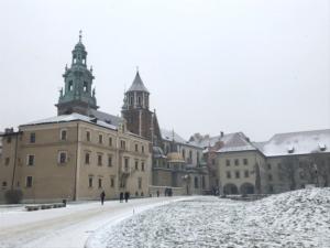 Wawel Krakov