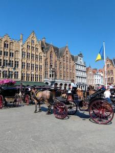 Zahraniční zájezd do Beneluxu 23. – 27. 6. 2024